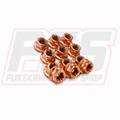 Wheel Nuts (10mm Socket)