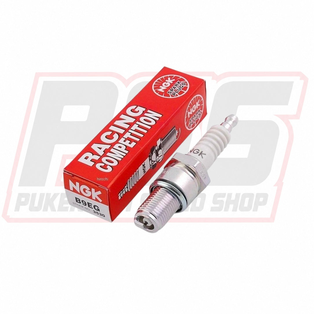 NGK Racing Plug